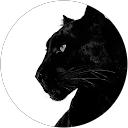 Carolina profile picture